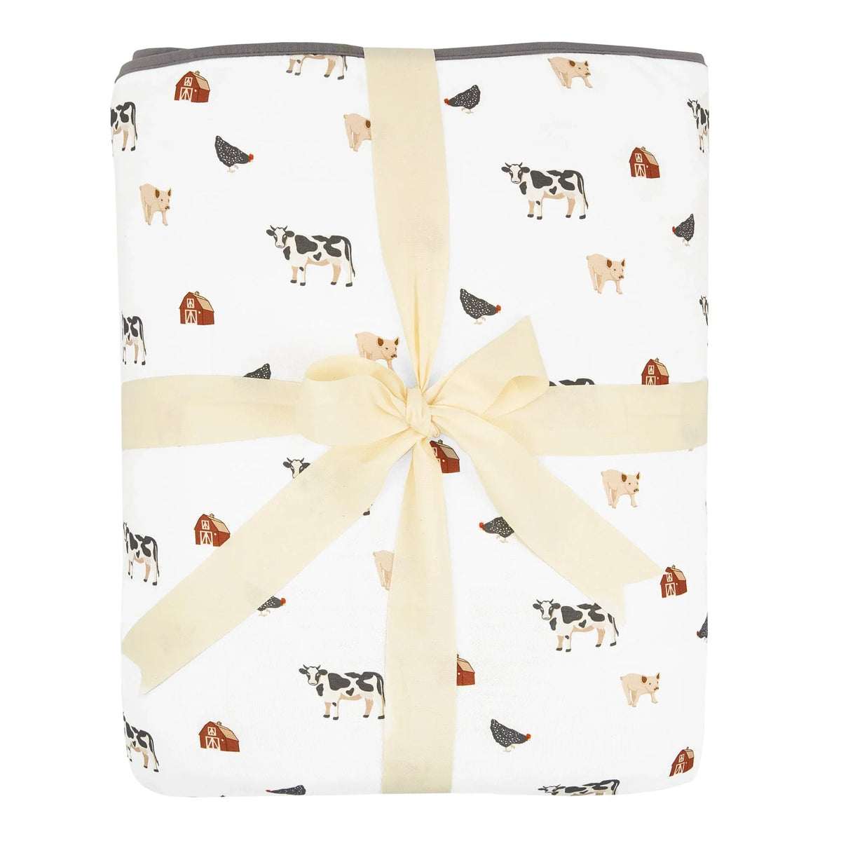 Youth Blanket in Farm 2.5