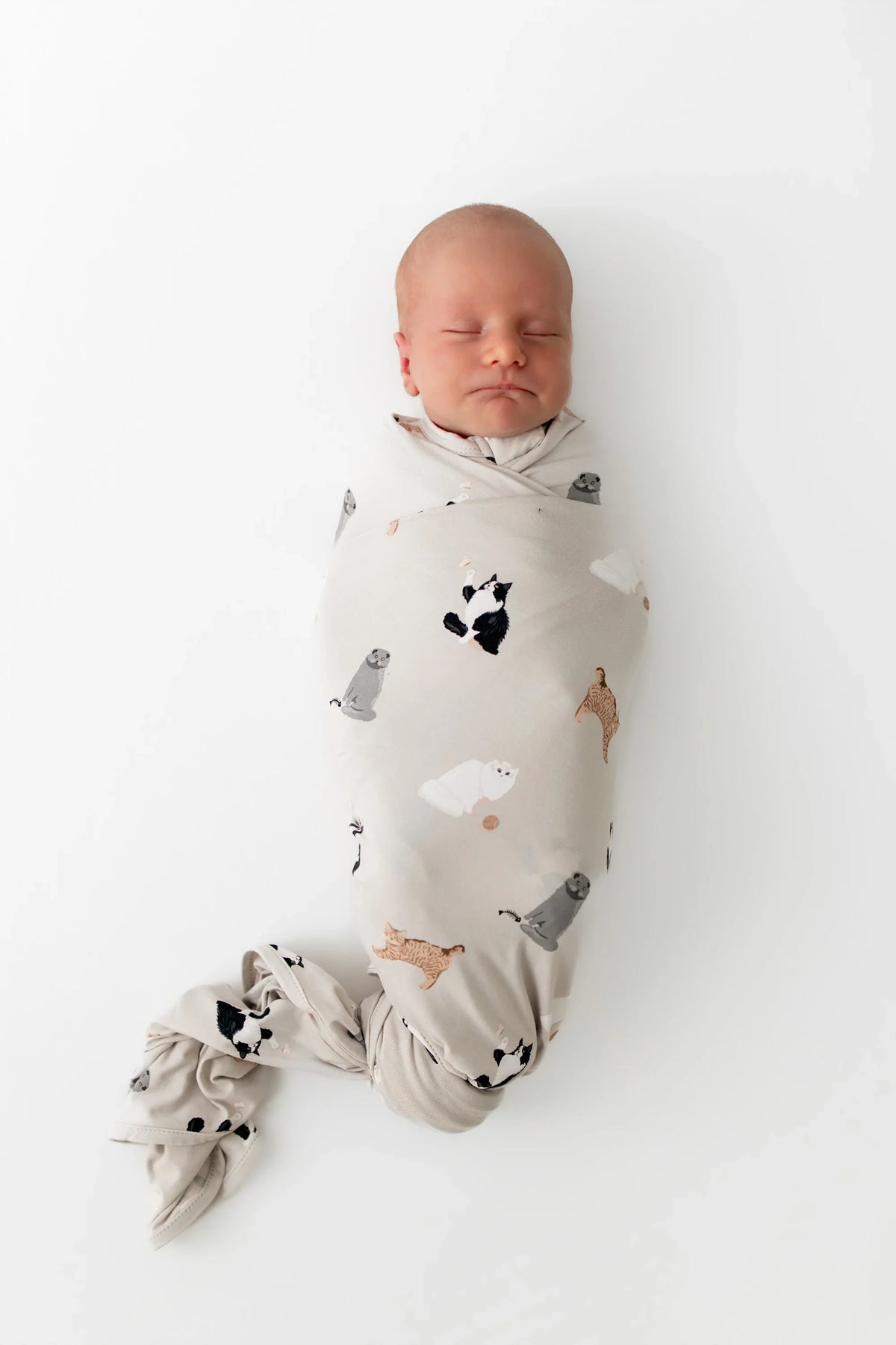 Swaddle Blanket in Fluffy Cat